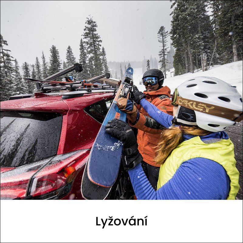 CZ banner lyžování